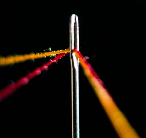 Partnerships for Impact